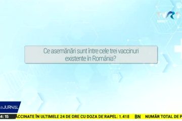 VACCINARE COVID-19 | Ce asemănări există între cele trei vaccinuri anti covid existente în România?