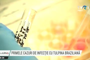 Primele cazuri de infecție cu tulpina braziliană. Care sunt diferențele între diversele tulpini ale virusului