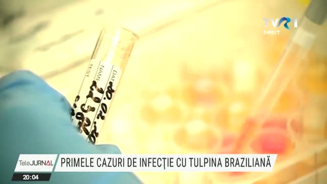 primele-cazuri-de-infectie-cu-tulpina-braziliana.-care-sunt-diferentele-intre-diversele-tulpini-ale-virusului