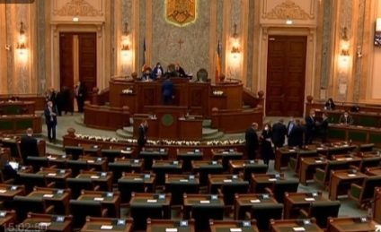 Moţiune simplă a PSD împotriva ministrului Economiei. Dezbatere și vot, marți, în Senat