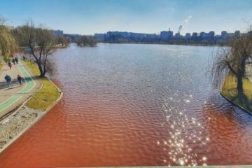 Apele Române: În apa lacului IOR a fost identificată prezenţa unei alge roşii. Nu este toxică