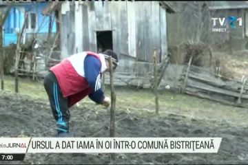 Gospodărie dintr-o comună bistrițeană, vizitată de urs. Localnicul a fost la un pas de a se întâlni cu ursul în propria curte