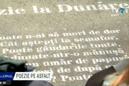 21 martie, Ziua Mondială a Poeziei. Nichita Stănescu: A confunda materialul cu sensul materialului este un lucru foarte la îndemână și foarte păgubitor