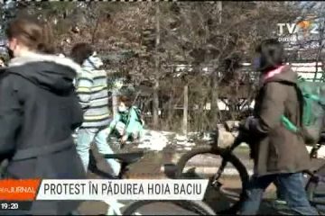 Marşul Haosului Imobiliar la Cluj. Protest faţă de investiţiile imobiliare din pădurea Hoia-Baciu