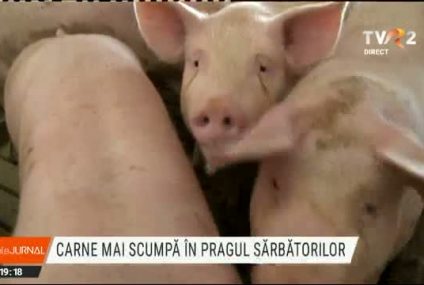 Carnea de porc și de miel s-ar putea scumpi înaintea sărbătorilor pascale