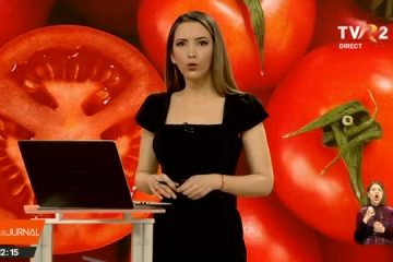 Se schimbă Programul Tomata. Ministrul Agriculturii anunţă un ajutor de 2.000 de euro pentru legumicultorii care cultivă ardei, castraveţi, tomate, varză şi vinete