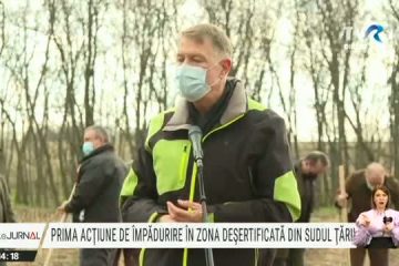 Prima acţiune de împădurire în zona deşertificată din sudul României. Iohannis: E important să combatem deşertificarea şi să extindem suprafaţa de pădure