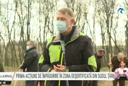 Prima acţiune de împădurire în zona deşertificată din sudul României. Iohannis: E important să combatem deşertificarea şi să extindem suprafaţa de pădure