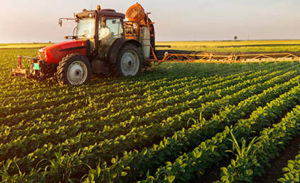 Comisia Europeană vrea ca 25% dintre terenurile agricole să fie utilizate pentru agricultura ecologică, până în 2030