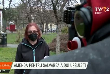 O asociație de salvare a animalelor a fost amendată pentru că a ajutat doi pui de urs