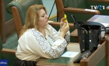 Parlament: Comisia juridică – sesizată de PNL privind derapajele de comportamemt ale Dianei Şoşoacă