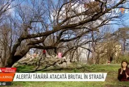 Tânără atacată într-un parc din Timișoara. În timp ce se lupta cu agresorul, a reușit să strige după ajutor. Mai mulți trecători au intervenit
