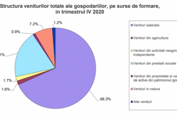 INS: Veniturile totale medii lunare au fost de 5.384 lei pe gospodărie în trimestrul IV. Cheltuielile au reprezentat 86%