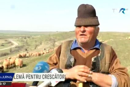 Ciobanii, îngrijorați că nu își vor vinde mieii pentru Paște din cauza pandemiei