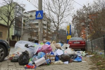 Garda de Mediu a dat amenzi de aproape două milioane de lei administrațiilor locale din București. Primăria Sectorului 1, sancționată pentru neîndeplinirea măsurilor de salubrizare