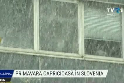 Primăvară capricioasă. Ninge ca în povești în Slovenia