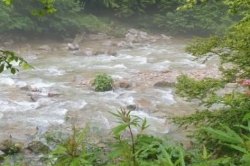 Cod galben de inundaţii pe râurile Argeş şi Dâmboviţa, până la miezul nopţii