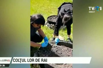 Mai multe persoane fără adăpost care au fost găzduite în containerele amplasate în Pădurea verde de lângă Timișoara au amenajat o mică grădină