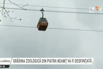 Grădina zoologică din Neamț va fi transformată în grădină publică. Decizie luată după consultarea cetățenilor. Ursoaica Ina, care și în libertate se comportă ca în cușcă, a petrecut aici 20 de ani