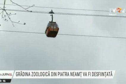 Grădina zoologică din Neamț va fi transformată în grădină publică. Decizie luată după consultarea cetățenilor. Ursoaica Ina, care și în libertate se comportă ca în cușcă, a petrecut aici 20 de ani