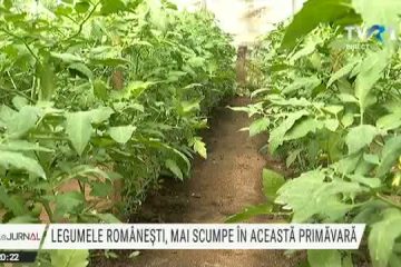 Legumele românești, mai scumpe în această primăvară