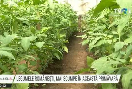 Legumele românești, mai scumpe în această primăvară