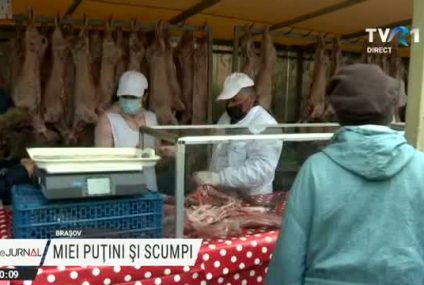 Carne de miel mai puțină și mai scumpă de Paști. Cel mai bun preț, la producătorii locali