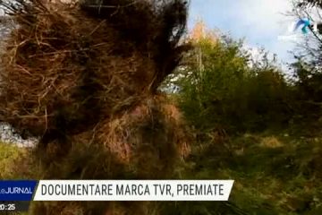 „Izolați în România” și „Adevăruri despre trecut”, producții TVR premiate la Festivalul Televiziunilor Publice din Europa CIRCOM