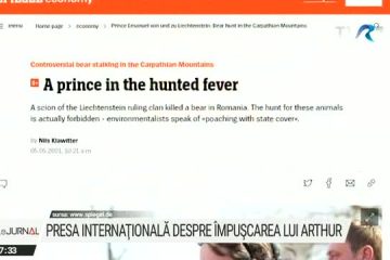 „Cu bani poți cumpăra orice”. Reacții în presa internațională după vestea uciderii lui Arthur, marele urs brun din România