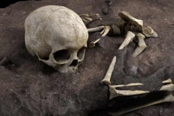 Cel mai vechi mormânt uman din Africa a fost descoperit de arheologi în Kenya. Datează de acum 80 de mii de ani și în el se află rămășițele unui copil