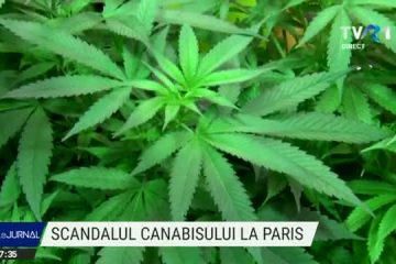 Dispută privind legalizarea consumului de canabis în Adunarea Națională a Franței. Pentru a fi mai convingător un deputat a arătat un pahar cu o frunză de canabis și o țigară