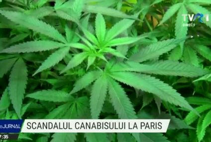 Dispută privind legalizarea consumului de canabis în Adunarea Națională a Franței. Pentru a fi mai convingător un deputat a arătat un pahar cu o frunză de canabis și o țigară