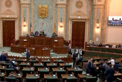 Sala de plen a Senatului României se va numi ‘Regele Mihai I’