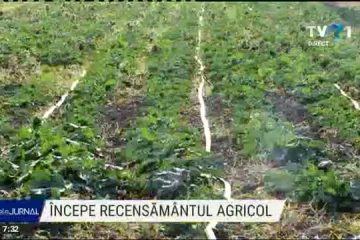 Lansarea recensământului agricol: se culeg informații legate de culturi, animale sau angajați