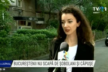 Dezinsecția și deratizarea ar putea începe peste o săptămână în București, estimează primarul Nicușor Dan