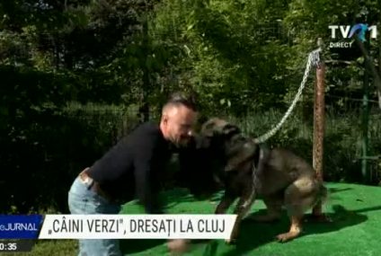 La Cluj sunt antrenați câini care urmează să facă parte din departamentele de poliție din SUA și Marea Britanie