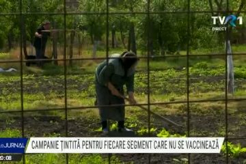 Campanie țintită pentru fiecare segment care nu se vaccinează. Specialiștii în comunicare spun că guvernul ar trebui să arunce-n luptă așa-numiții influenceri