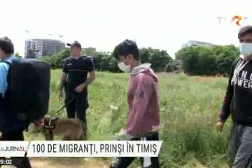 100 de migranți ilegali au fost prinși în Timiș şi trimiși înapoi într-un centru de refugiaţi