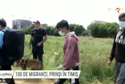 100 de migranți ilegali au fost prinși în Timiș şi trimiși înapoi într-un centru de refugiaţi