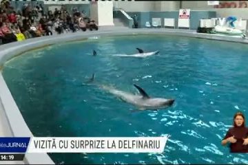 Ziua copiilor, sărbătorită la Delfinariul din Constanța. Organizatorii au pregătit numeroase surprize celor mici