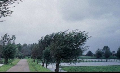 ANM: Ploi în regiunile estice, sud-estice şi în zona Carpaţilor de Curbură. Intensificări ale vântului în Moldova, Dobrogea şi estul Munteniei