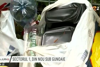 Sectorul 1 din București, invadat din nou de gunoaie. Firma de salubrizare nu le mai strânge din cauza unor datorii mai vechi ale Primăriei