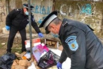 Scandalul gunoaielor: Poliția Locală a Sectorului 1, amenzi de 160.000 de lei către compania Romprest Service