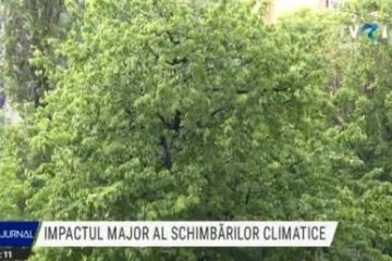 Oscilațiile climatice ne influențează sănătatea. Deși tendința globală e de încălzire, am avut cea mai rece primăvară din ultimii 34 de ani