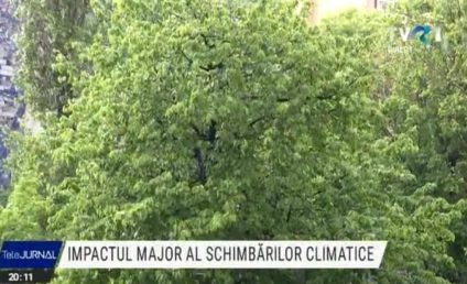 Oscilațiile climatice ne influențează sănătatea. Deși tendința globală e de încălzire, am avut cea mai rece primăvară din ultimii 34 de ani