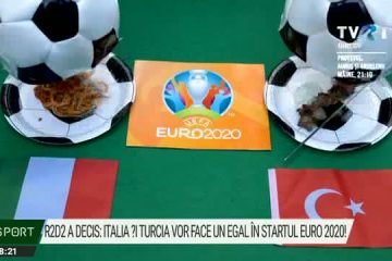 Cățelușul R2D2, care face predicții la EURO 2020, a decis: meciul din startul competiției, Italia-Turcia, se va încheia la egalitate