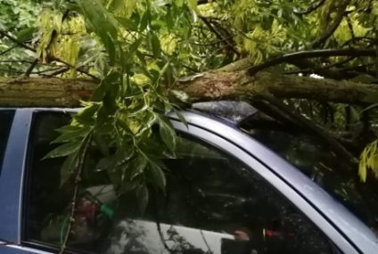 Primăria Sectorului 4 despăgubeşte proprietarii maşinilor avariate în urma furtunii de vineri