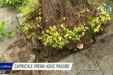 Vreme rea în estul țării. Ploi torențiale și vijelii până mâine noapte