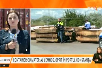Containere încărcate cu material lemnos oprite de autorități în portul Constanța Sud Agigea. Bușteni exportați cu acte de cherestea
