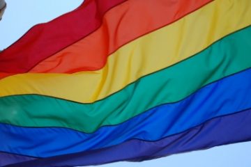 Ungaria, sub focul criticilor europene pentru legea care interzice ”promovarea” homosexualităţii în rândul minorilor